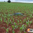 Adolescente é executado com tiros na cabeça zona rural de Maringá Foto 8 Fotos de Adolescente é executado com tiros na cabeça zona rural de Maringá