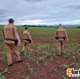 Adolescente é executado com tiros na cabeça zona rural de Maringá Foto 10 Fotos de Adolescente é executado com tiros na cabeça zona rural de Maringá