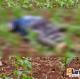 Adolescente é executado com tiros na cabeça zona rural de Maringá Foto 13 Fotos de Adolescente é executado com tiros na cabeça zona rural de Maringá