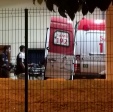 Fotos de Adolescente é socorrido em estado grave com faca cravada no peito em Maringá