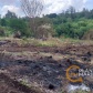 Fotos de Agricultor é encontrado morto com o corpo parcialmente queimado