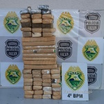Fotos de Após tentativa de extorsão, dois homens são presos e cão farejador localiza quase 70 quilos de maconha em Maringá