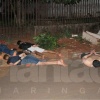 Fotos de Atingida por tiros durante execução em Sarandi, cachorra da raça pit bull morre após cirurgia