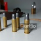 Fotos de Atingida por tiros durante execução em Sarandi, cachorra da raça pit bull morre após cirurgia