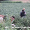 Fotos de Bandidos atiram contra policiais e capotam veículo roubado durante perseguição e morrem em confronto com a choque em Marialva
