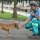 Fotos de Bebê, o cão que encaminha almas em Maringá