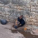 Fotos de Bombeiros resgatam cachorro com cabeça presa em buraco no muro