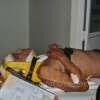 Fotos de Briga em família, termina em irmão ferido a tijoladas em Paiçandu