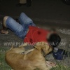 Fotos de Cachorro não abandona adolescente baleado durante tentativa de homicídio em Maringá