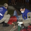 Fotos de Cachorro não abandona adolescente baleado durante tentativa de homicídio em Maringá