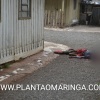 Cadeirante tem pescoço cortado e cabeça esmagada por causa de 20 reais em Maringá Foto 12 Fotos de Cadeirante tem pescoço cortado e cabeça esmagada por causa de 20 reais em Maringá