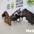 Fotos de Câmera de segurança registra ação de quadrilha em assalto a residência em Maringá