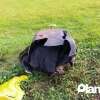 Fotos de Em rondon, homem tenta salvar sobrinhas e morre afogado junto com elas; as vítimas foram identificadas