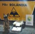 Fotos de Cão farejador da pre encontra mala recheada de crack em Rolândia
