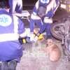 Cão se deita ao lado de motociclista e faz companhia à vítima durante o resgate, em Maringá Foto 1 Fotos de Cão se deita ao lado de motociclista e faz companhia à vítima durante o resgate, em Maringá
