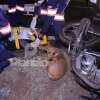 Cão se deita ao lado de motociclista e faz companhia à vítima durante o resgate, em Maringá Foto 11 Fotos de Cão se deita ao lado de motociclista e faz companhia à vítima durante o resgate, em Maringá