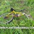 Fotos de Ciclista morre atropelado na BR-376 em Marialva - motorista fugiu
