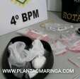 Cocaína e cigarros são apreendidos pela ROTAM de Paiçandu Foto 3 Fotos de Cocaína e cigarros são apreendidos pela ROTAM de Paiçandu