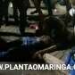 Fotos de Violência; adolescente é executado na praça da catedral de Maringá