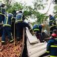 Fotos de Grave - motorista fica preso nas ferragens de caminhão na PR-317