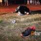Fotos de Homem de 28 anos morre após ser brutalmente espancado