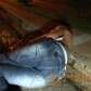 Fotos de Homem de 33 anos é baleado na vilinha em Maringá