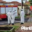 Homem é atacado por abelhas e leva mais de 30 ferroadas em Maringá Foto 1 Fotos de Homem é atacado por abelhas e leva mais de 30 ferroadas em Maringá