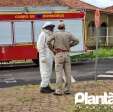Homem é atacado por abelhas e leva mais de 30 ferroadas em Maringá Foto 4 Fotos de Homem é atacado por abelhas e leva mais de 30 ferroadas em Maringá