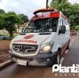 Homem é atacado por abelhas e leva mais de 30 ferroadas em Maringá Foto 5 Fotos de Homem é atacado por abelhas e leva mais de 30 ferroadas em Maringá