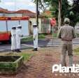 Homem é atacado por abelhas e leva mais de 30 ferroadas em Maringá Foto 9 Fotos de Homem é atacado por abelhas e leva mais de 30 ferroadas em Maringá