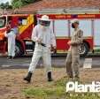 Homem é atacado por abelhas e leva mais de 30 ferroadas em Maringá Foto 10 Fotos de Homem é atacado por abelhas e leva mais de 30 ferroadas em Maringá