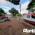 Homem é atacado por abelhas e leva mais de 30 ferroadas em Maringá Foto 11 Fotos de Homem é atacado por abelhas e leva mais de 30 ferroadas em Maringá