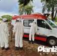 Homem é atacado por abelhas e leva mais de 30 ferroadas em Maringá Foto 15 Fotos de Homem é atacado por abelhas e leva mais de 30 ferroadas em Maringá