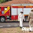 Homem é atacado por abelhas e leva mais de 30 ferroadas em Maringá Foto 16 Fotos de Homem é atacado por abelhas e leva mais de 30 ferroadas em Maringá