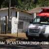 Fotos de Homem é atacado por enxame de abelhas no quintal da própria casa em Maringá