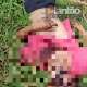 Fotos de Homem é executado com tiro de espingarda calibre 12 e golpes de facão em Sarandi
