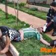 Fotos de Homem é socorrido após ser agredido a pauladas em Paiçandu