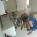 Homem invade casa para roubar e tenta estuprar cuidadora de idosa, em Maringá Foto 5 Fotos de Homem invade casa para roubar e tenta estuprar cuidadora de idosa, em Maringá