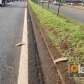 Fotos de Homem morre após ser atropelado por caminhão, em Sarandi