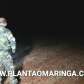 Fotos de Homem morre baleado após apontar espingarda para Polícia ambiental em Maringá