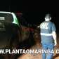 Fotos de Homem morre baleado após apontar espingarda para Polícia ambiental em Maringá