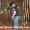 Fotos de Homem que matou adolescente de 15 anos em Sarandi é condenado a 24 anos de prisão