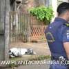 Fotos de Jovem de 26 anos morre após bater em poste em Sarandi