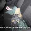 Fotos de Criança de 1 anos e 8 meses morre após afogamento em balde em Apucarana
