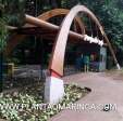 Fotos de Jovem invade Parque do Ingá para andar de pedalinho, acaba morrendo afogado em Maringá