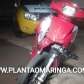 Ladrão azarado, furtou moto em Maringá e se envolve em acidente em Paiçandu Foto 4 Fotos de Ladrão azarado, furtou moto em Maringá e se envolve em acidente em Paiçandu