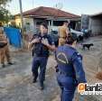 Fotos de Ladrões que fizeram dancinha durante furto são presos em Sarandi