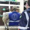 Fotos de Marido esfaqueia esposa após discussão no Jardim Alvorada em Maringá; segundo ele estaria brincando