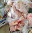 Fotos de Maringá; fiscalização apreende quase meia tonelada de carne imprópria para consumo em supermercado