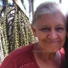 Maringá tem mais uma morte por COVID-19; a vítima tinha 73 anos Foto 1 Fotos de Maringá tem mais uma morte por COVID-19; a vítima tinha 73 anos